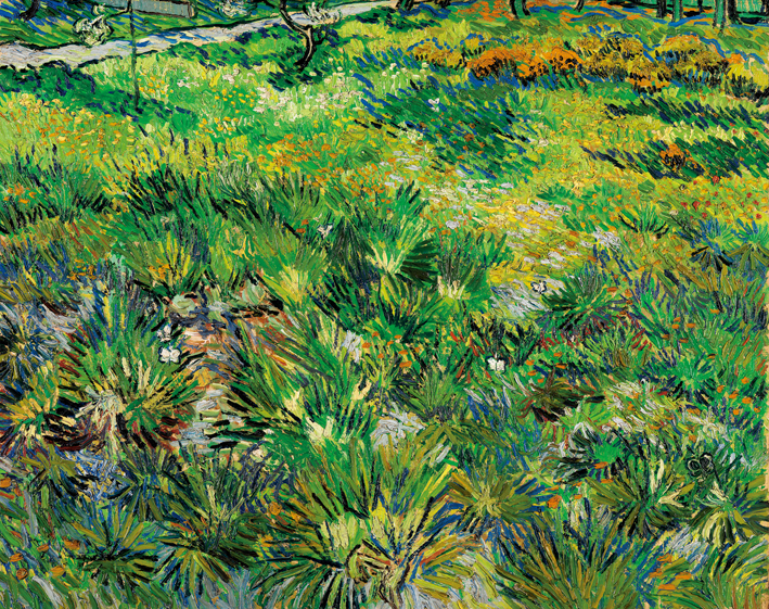  文森特·威廉·梵高  Vincent Willen Van Gogh ——草丛中的蝴蝶